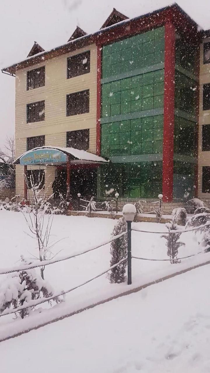 Triden Kashmir Resort Srīnagar Buitenkant foto